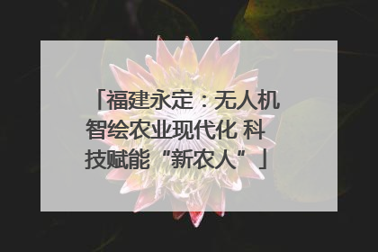 福建永定：无人机智绘农业现代化 科技赋能“新农人”