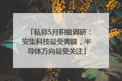 私募5月积极调研：安集科技最受青睐，半导体方向最受关注