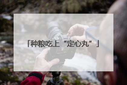 种粮吃上“定心丸”