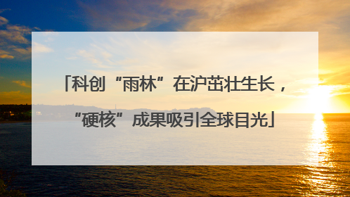 科创“雨林”在沪茁壮生长，“硬核”成果吸引全球目光