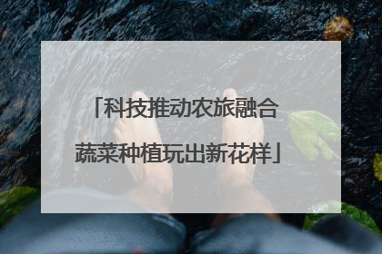 科技推动农旅融合 蔬菜种植玩出新花样