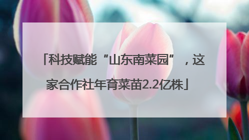 科技赋能“山东南菜园”，这家合作社年育菜苗2.2亿株