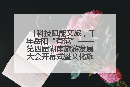 科技赋能文旅，千年岳阳“有范”——第四届湖南旅游发展大会开幕式暨文化旅游推介会侧记