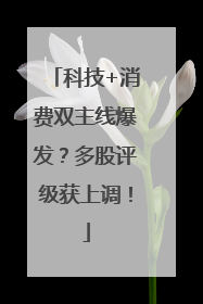 科技+消费双主线爆发？多股评级获上调！