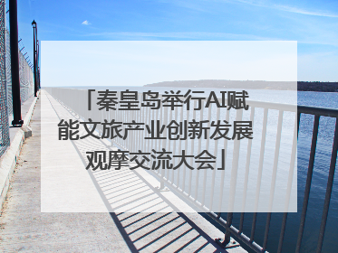 秦皇岛举行AI赋能文旅产业创新发展观摩交流大会