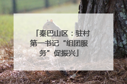 秦巴山区：驻村第一书记“组团服务”促振兴