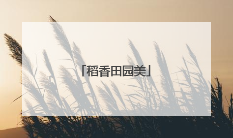 稻香田园美