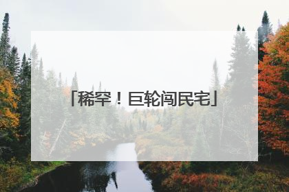 稀罕！巨轮闯民宅