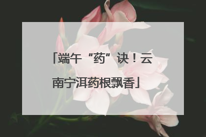 端午“药”诀！云南宁洱药根飘香