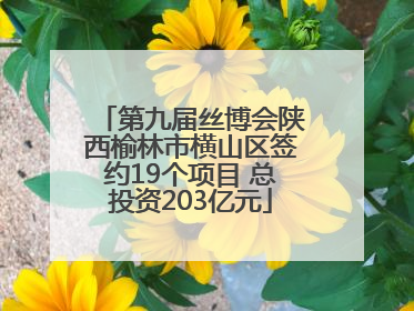 第九届丝博会陕西榆林市横山区签约19个项目 总投资203亿元