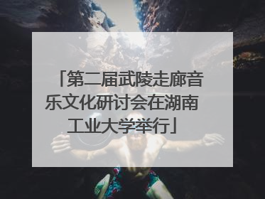 第二届武陵走廊音乐文化研讨会在湖南工业大学举行