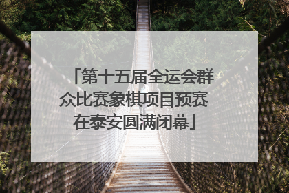 第十五届全运会群众比赛象棋项目预赛在泰安圆满闭幕