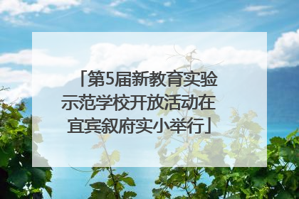 第5届新教育实验示范学校开放活动在宜宾叙府实小举行