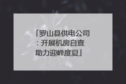 罗山县供电公司：开展机房自查 助力迎峰度夏