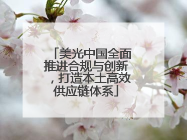美光中国全面推进合规与创新，打造本土高效供应链体系