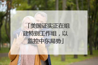 美国证实正在组建特别工作组，以监控中东局势