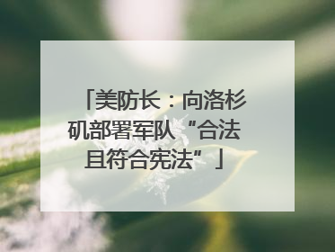 美防长：向洛杉矶部署军队“合法且符合宪法”