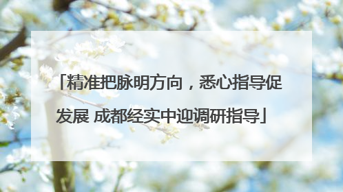 精准把脉明方向，悉心指导促发展 成都经实中迎调研指导