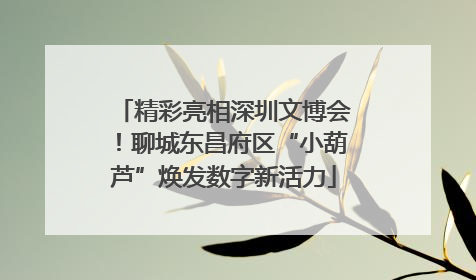 精彩亮相深圳文博会！聊城东昌府区“小葫芦”焕发数字新活力