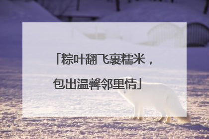 粽叶翻飞裹糯米，包出温馨邻里情