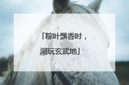粽叶飘香时，潮玩玄武地