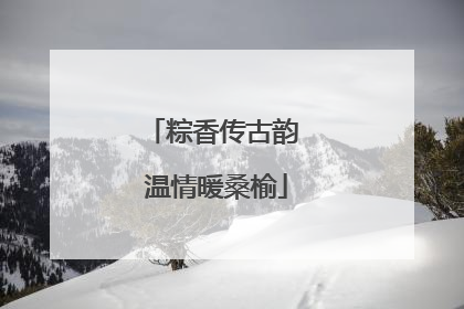 粽香传古韵 温情暖桑榆