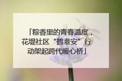 粽香里的青春温度，花堤社区“鹤耋安”行动架起跨代暖心桥