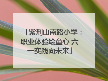 紫荆山南路小学：职业体验绘童心 六一实践向未来