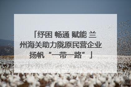 纾困 畅通 赋能 兰州海关助力陇原民营企业扬帆“一带一路”