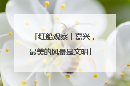 红船观察丨嘉兴，最美的风景是文明