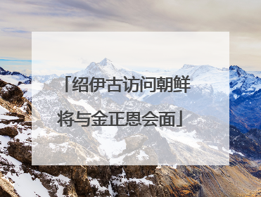 绍伊古访问朝鲜 将与金正恩会面