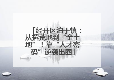 经开区泊于镇：从撂荒地到“金土地”！靠“人才密码”逆袭出圈