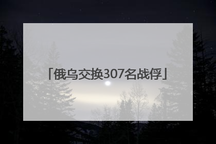 俄乌交换307名战俘