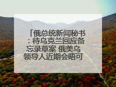 俄总统新闻秘书：待乌克兰回应备忘录草案 俄美乌领导人近期会晤可能性小