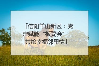 信阳羊山新区：党建赋能“板凳会” 共绘幸福邻里情