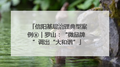 信阳基层治理典型案例⑧｜罗山：“微品牌”调出“大和谐”