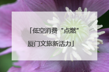 低空消费“点燃”厦门文旅新活力