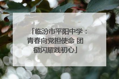 临汾市平阳中学：青春向党担使命 团徽闪耀践初心