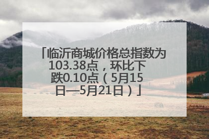 临沂商城价格总指数为103.38点，环比下跌0.10点（5月15日—5月21日）