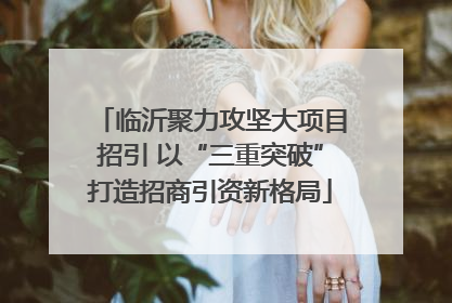 临沂聚力攻坚大项目招引 以“三重突破”打造招商引资新格局