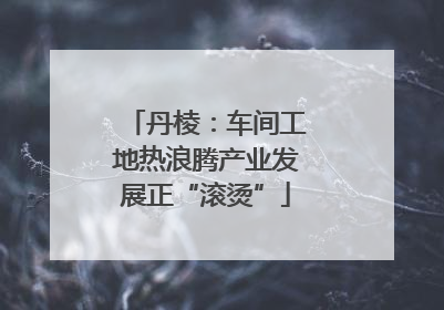 丹棱：车间工地热浪腾产业发展正“滚烫”