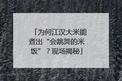 为何江汉大米能煮出“会跳舞的米饭”？现场揭秘
