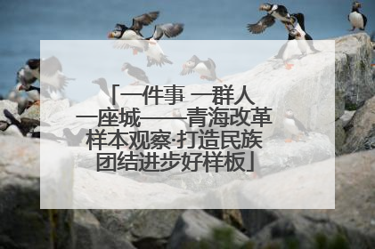 一件事 一群人 一座城——青海改革样本观察·打造民族团结进步好样板