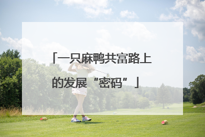 一只麻鸭共富路上的发展“密码”