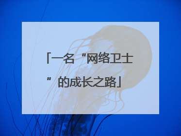 一名“网络卫士”的成长之路