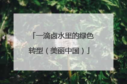 一滴卤水里的绿色转型（美丽中国）