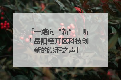 一路向“新”丨听！岳阳经开区科技创新的澎湃之声