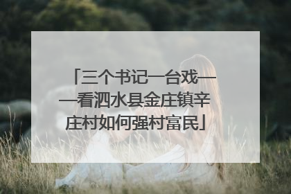 三个书记一台戏——看泗水县金庄镇辛庄村如何强村富民