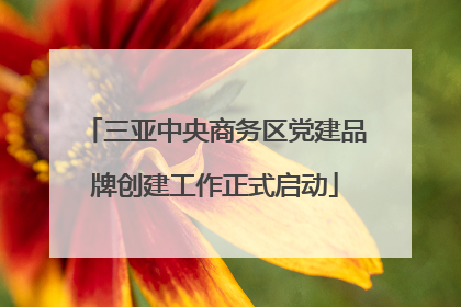 三亚中央商务区党建品牌创建工作正式启动