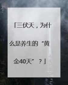 三伏天，为什么是养生的“黄金40天”？